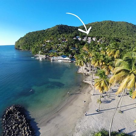 Hotel Oasis Marigot Zewnętrze zdjęcie
